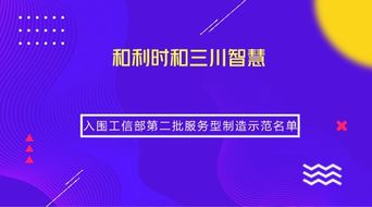 兩家儀器儀表企業榮獲工信部服務型制造示范稱號，引領信息系統集成服務新篇章