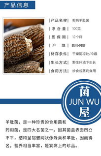 川藏高原特級羊肚菌干貨 源自凈土的自然饋贈，全國包郵的品質之選